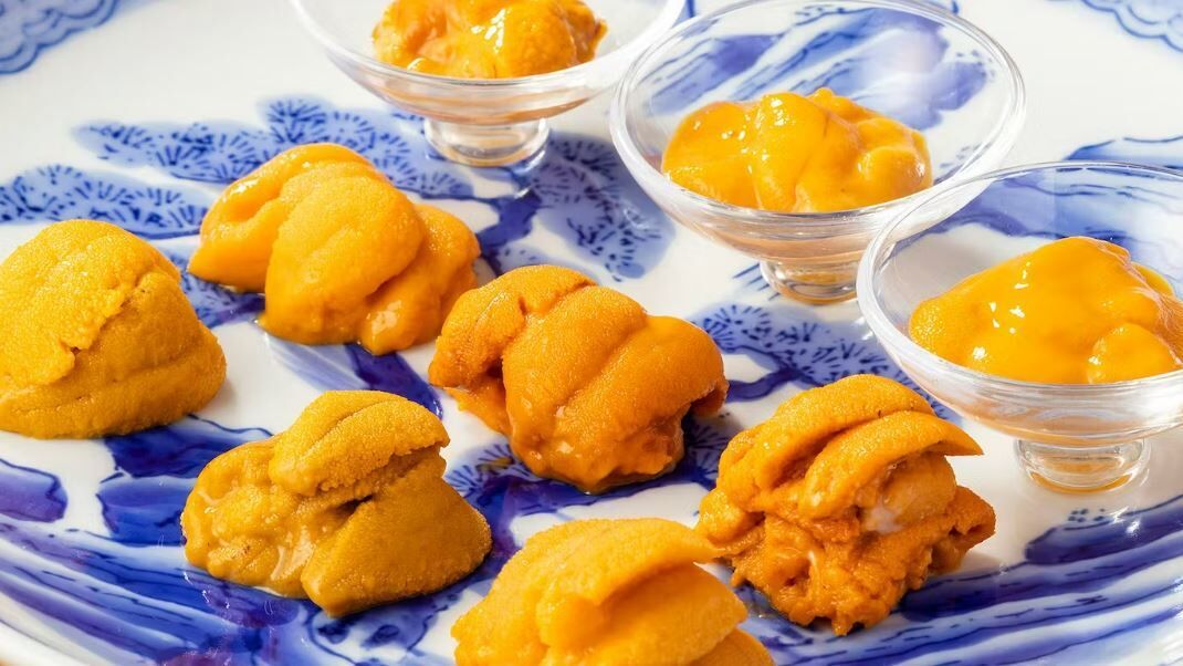 [하이엔드 오마카세] 스시 오우미 키타신치 (오사카)