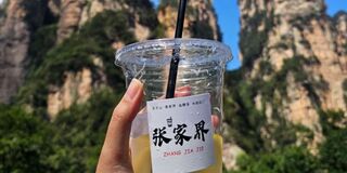 장가계 [장자제] 국립 산림공원 4일 입장권 + 셔틀버스 무제한 (케이블카·바이룽 엘리베이터 옵션)