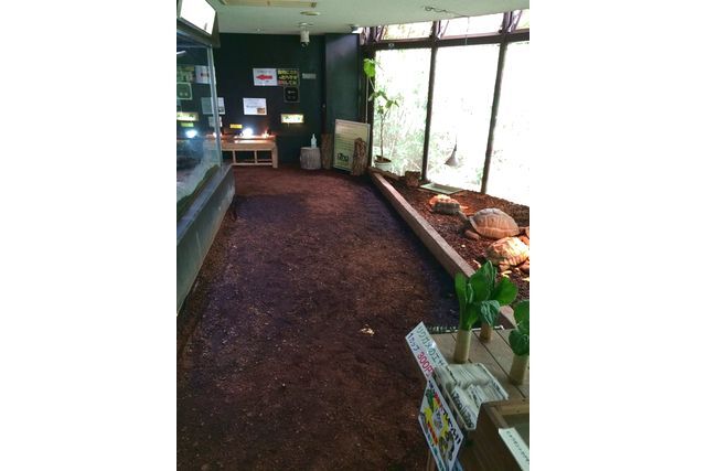 [동물원] iZoo 체험형 동물원 + 카와즈 개구리 박물관 KawaZoo 입장권 상세 이미지 3