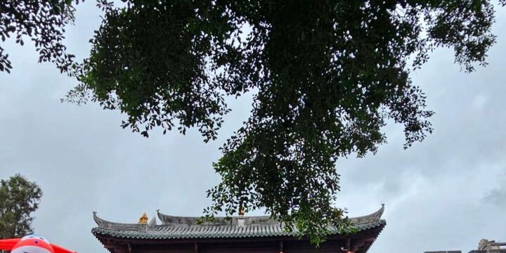 [심천] 해안 명소 프라이빗 투어 :: 다펑 요새 + 양메이켕 + 시충 전망대-i