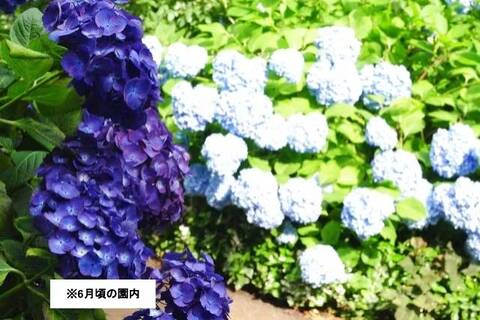 product-thumbnail-2