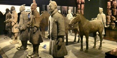시안 투어 - 시안 병마용 + 무슬림 거리 + 성벽 항공 포함 1일 프라이빗 투어
