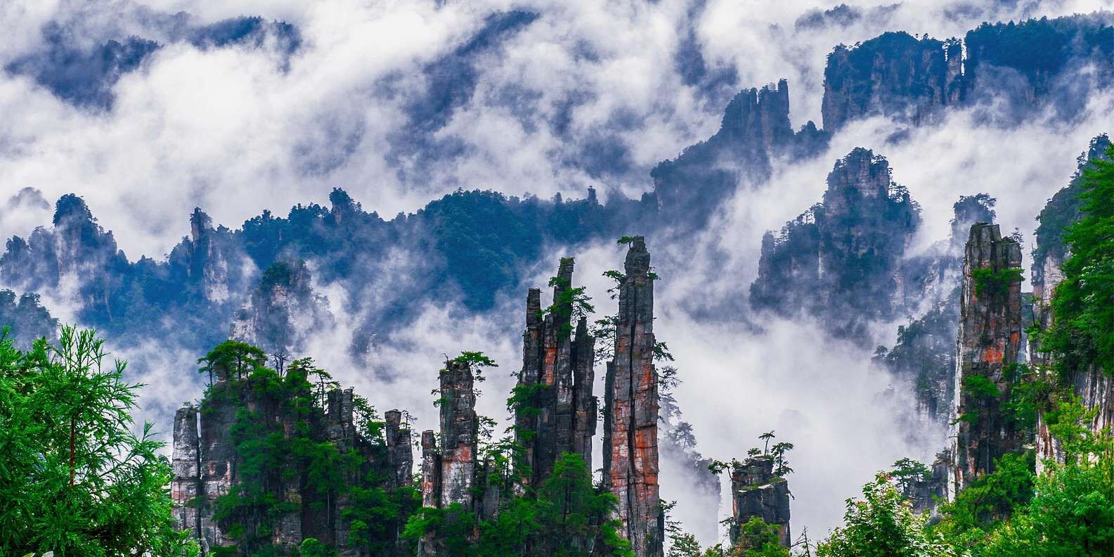 [장자제] 국립산림공원 일일 투어 — 바이룽 엘리베이터 + 톈쯔산 케이블카 포함 상세 이미지 3