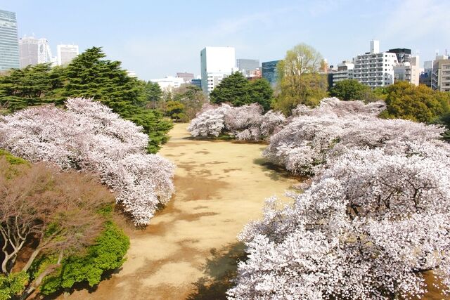 [입장권] 신주쿠 교엔 국립정원 전자 입장권