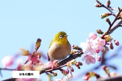 product-thumbnail-1