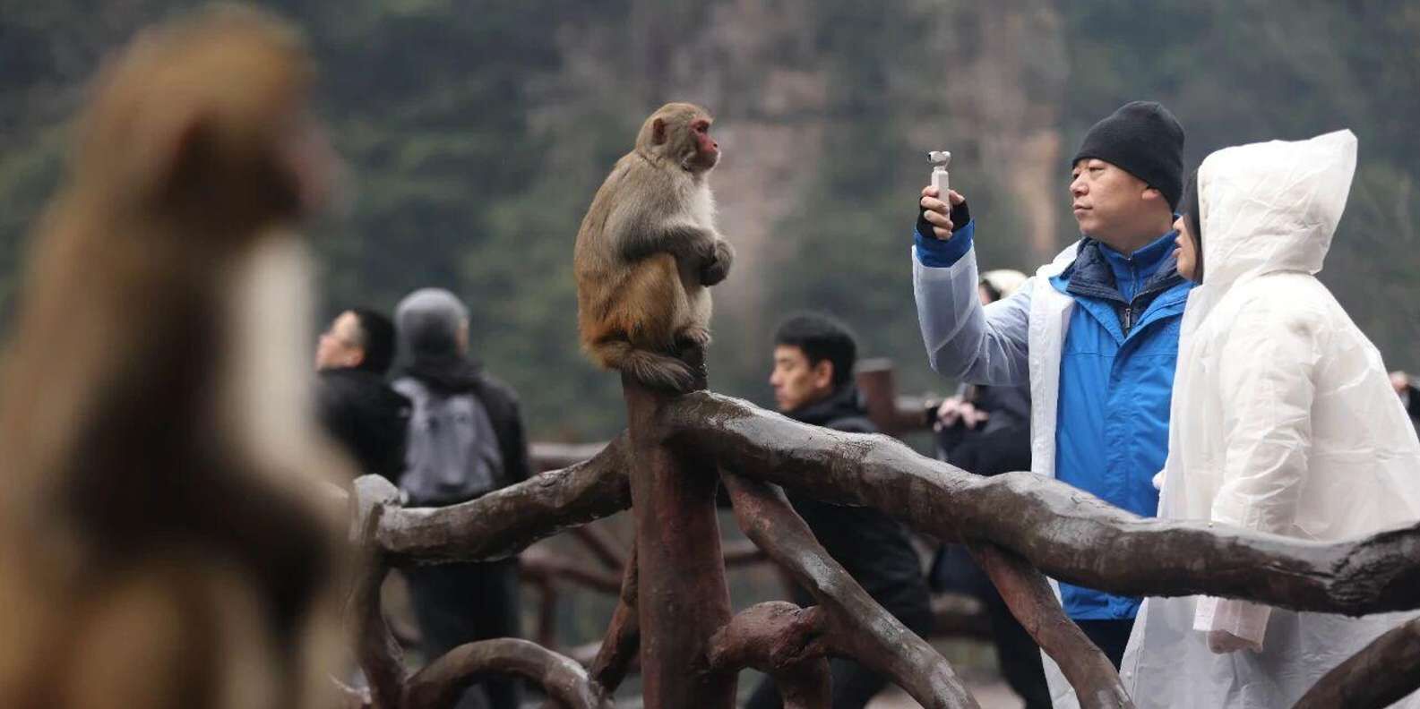 투어·티켓 상품 상세 이미지 3