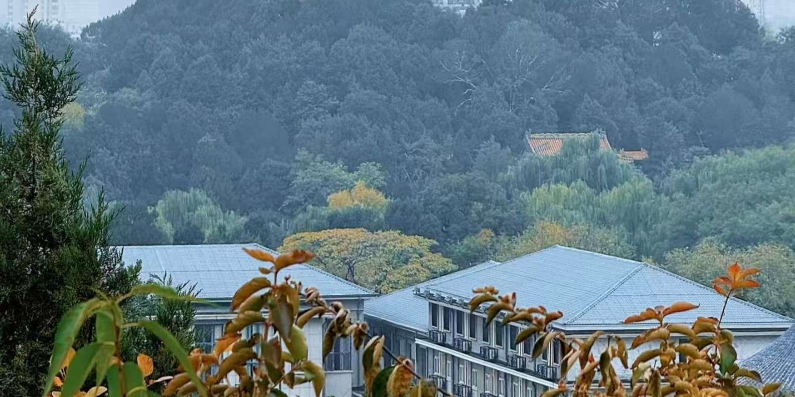 [베이징] 🏮경산 공원 입장권 :: 자금성 360도 파노라마 뷰 상세 이미지 4