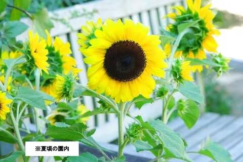 product-thumbnail-4