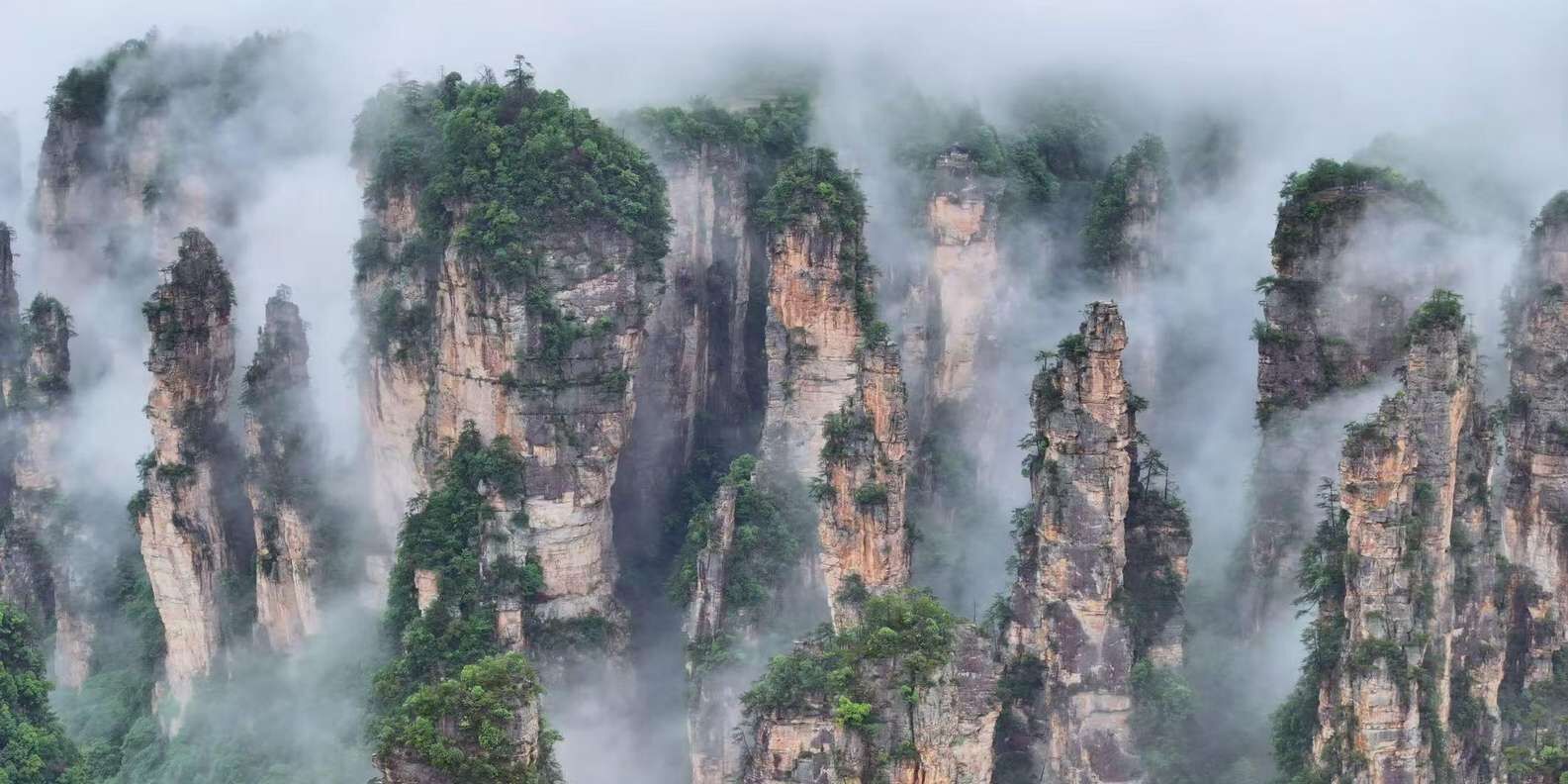 국립산림공원 입장권 + 독점 디지털 아바타 지도