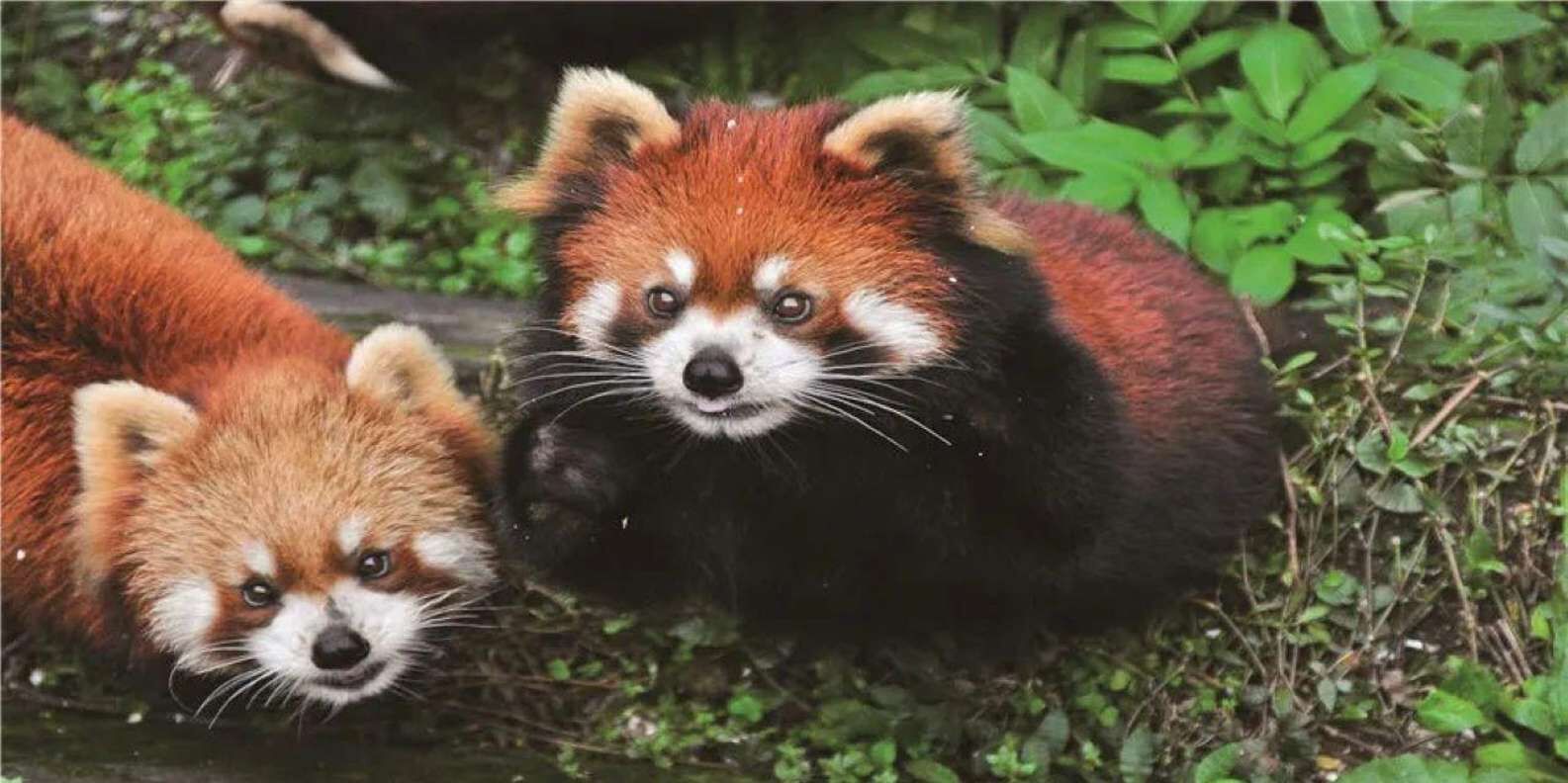 투어·티켓 상품