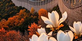 베이징 [베이징] 쥐융관 만리장성 입장권 (이스트·웨스트 루프 하이킹)