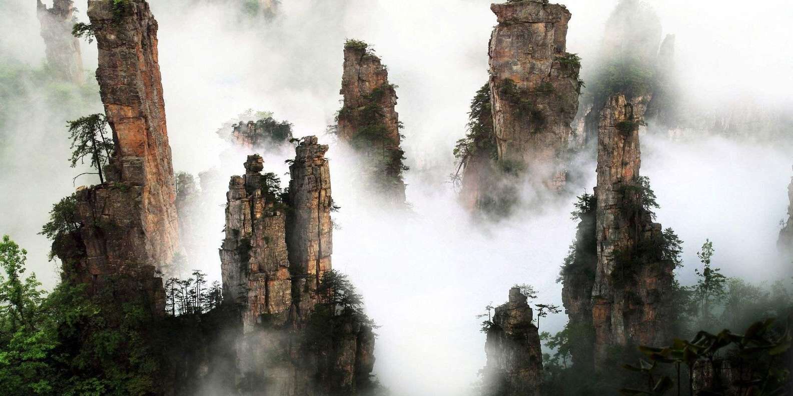 [장자제] 톈지산·위안자제 프라이빗 당일 투어 (케이블카·바이롱 엘리베이터 포함)