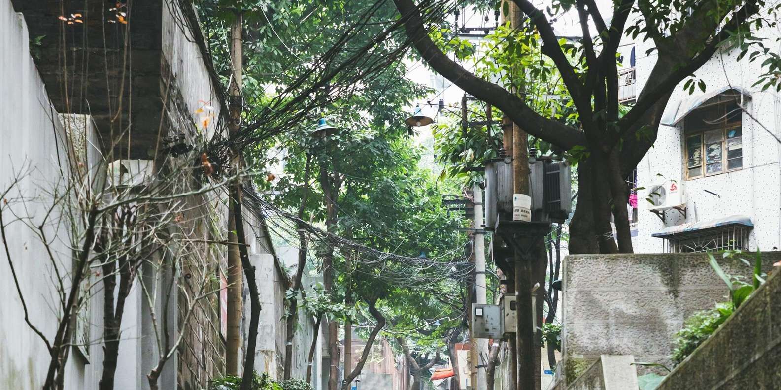 산청 골목 또는 황거 고도 반나절 워킹 투어 상세 이미지 1