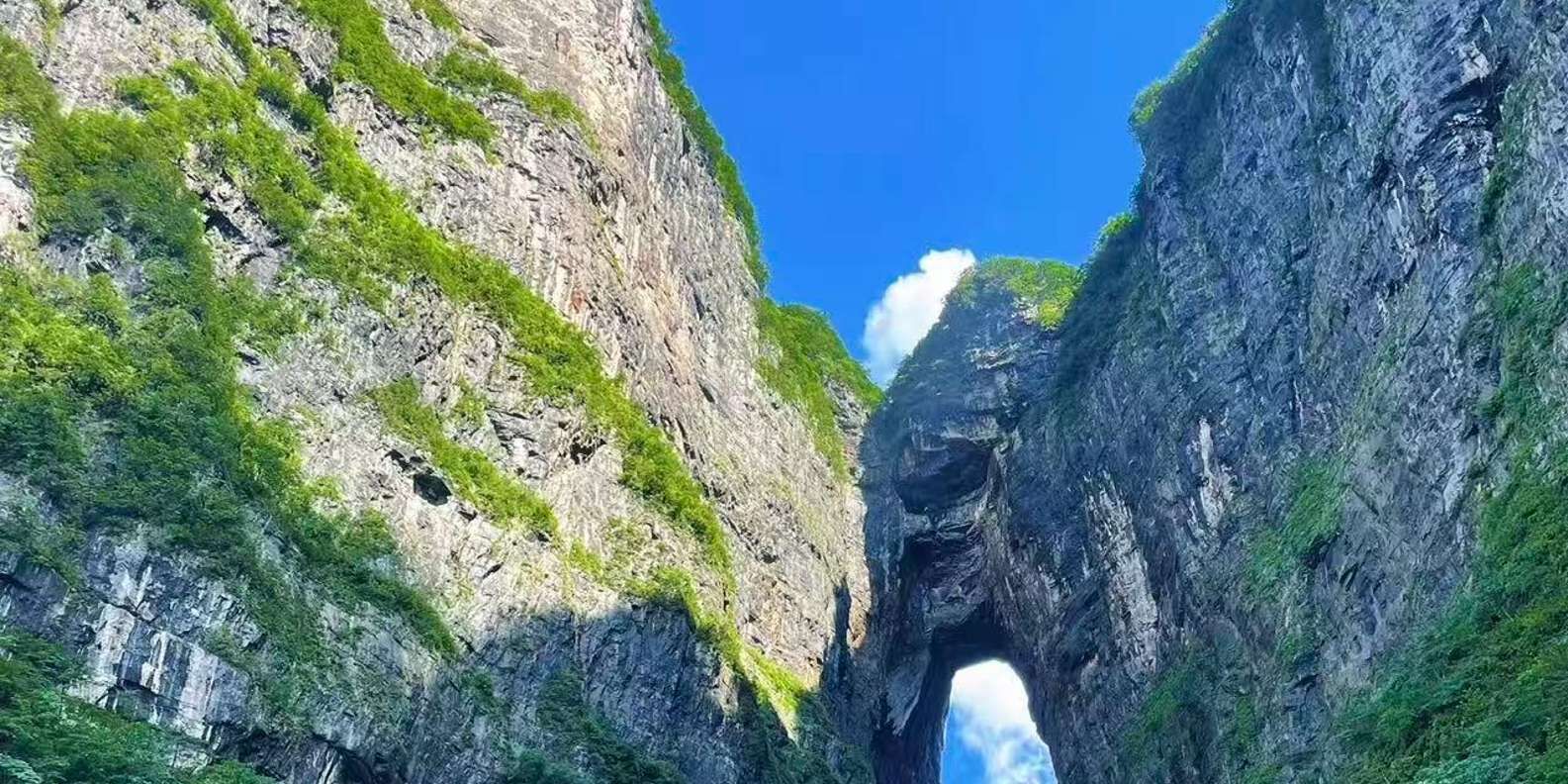 [장자제] 톈먼산 국립산림공원 입장권 + 케이블카 포함
