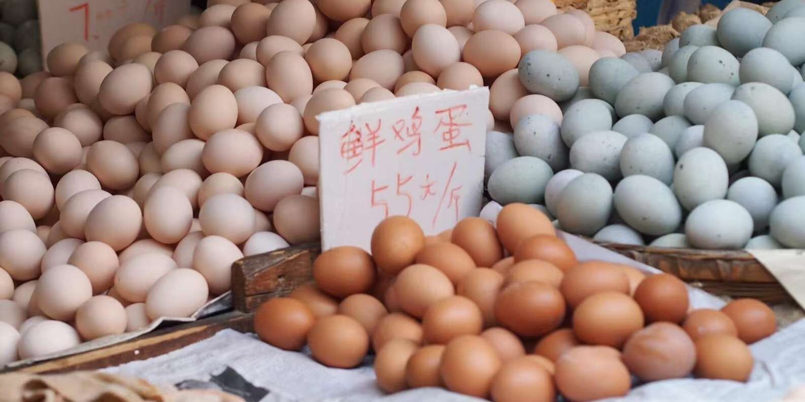 반나절 현지 가정 쿠킹 클래스 + 시장 투어 (최대 6명 소그룹) 상세 이미지 3
