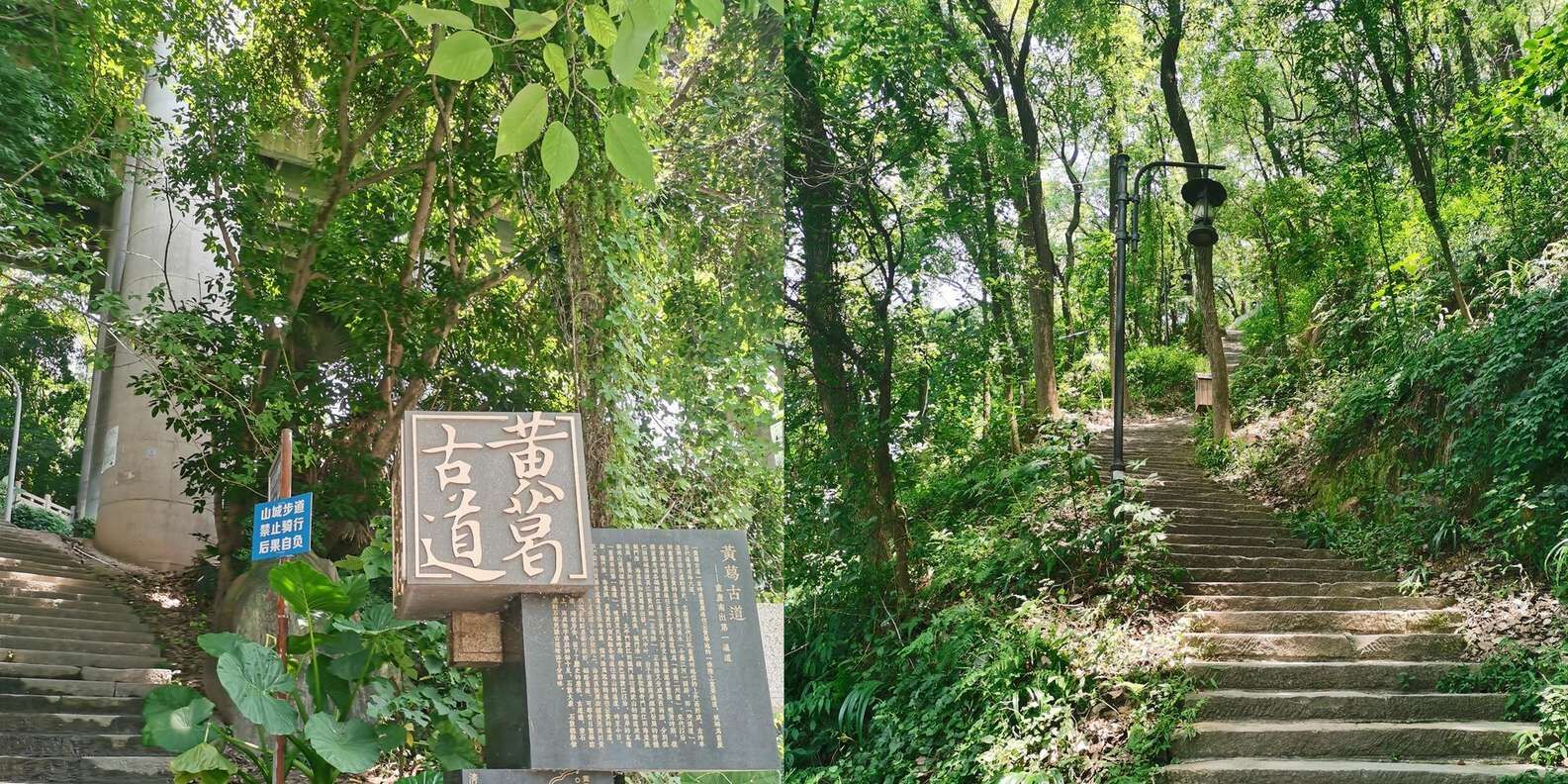 산청 골목 또는 황거 고도 반나절 워킹 투어 상세 이미지 4