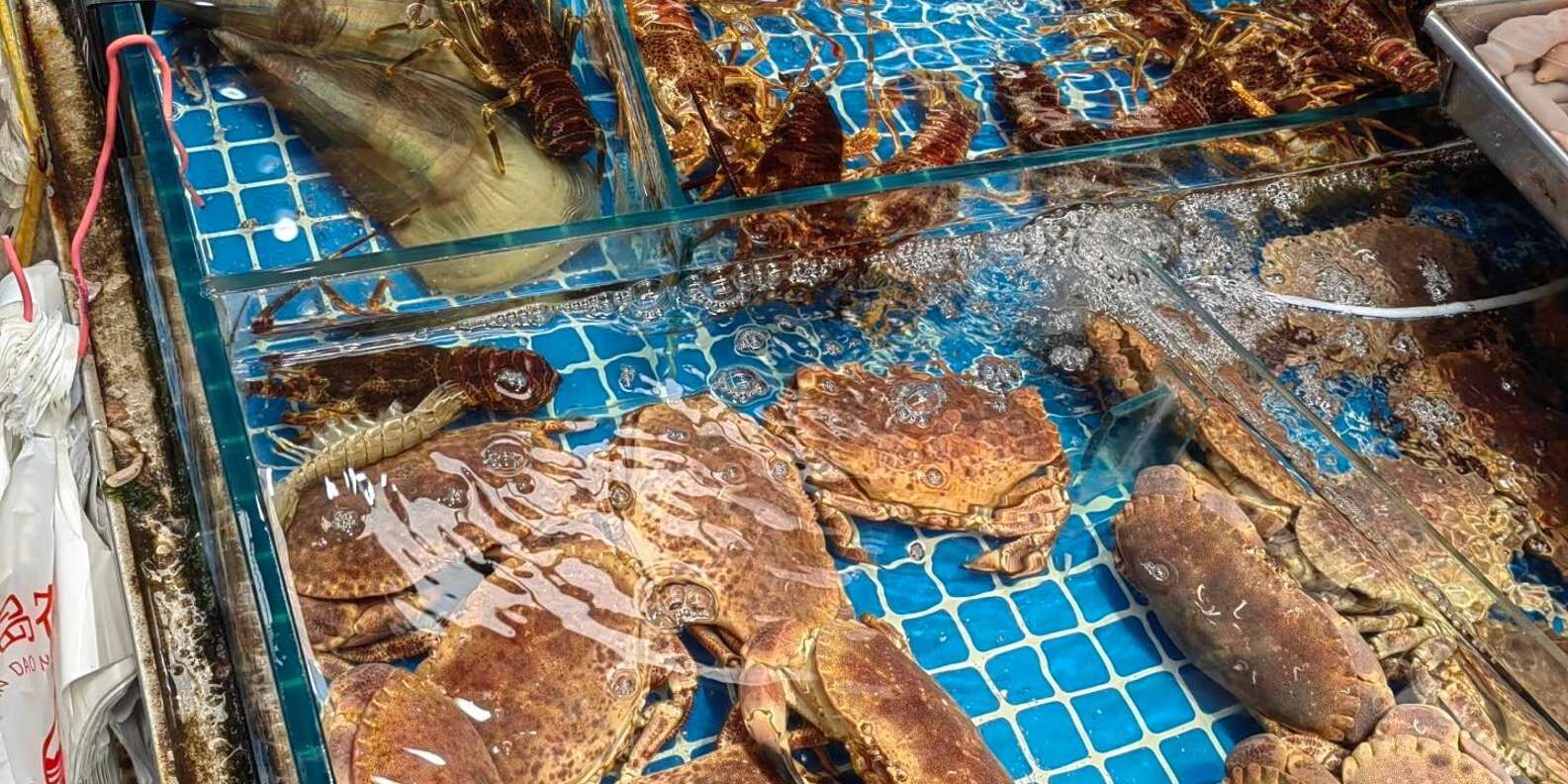 [칭다오] 투안다오 시장 해산물 직접 고르고 칭타오 맥주와 만찬까지 상세 이미지 3