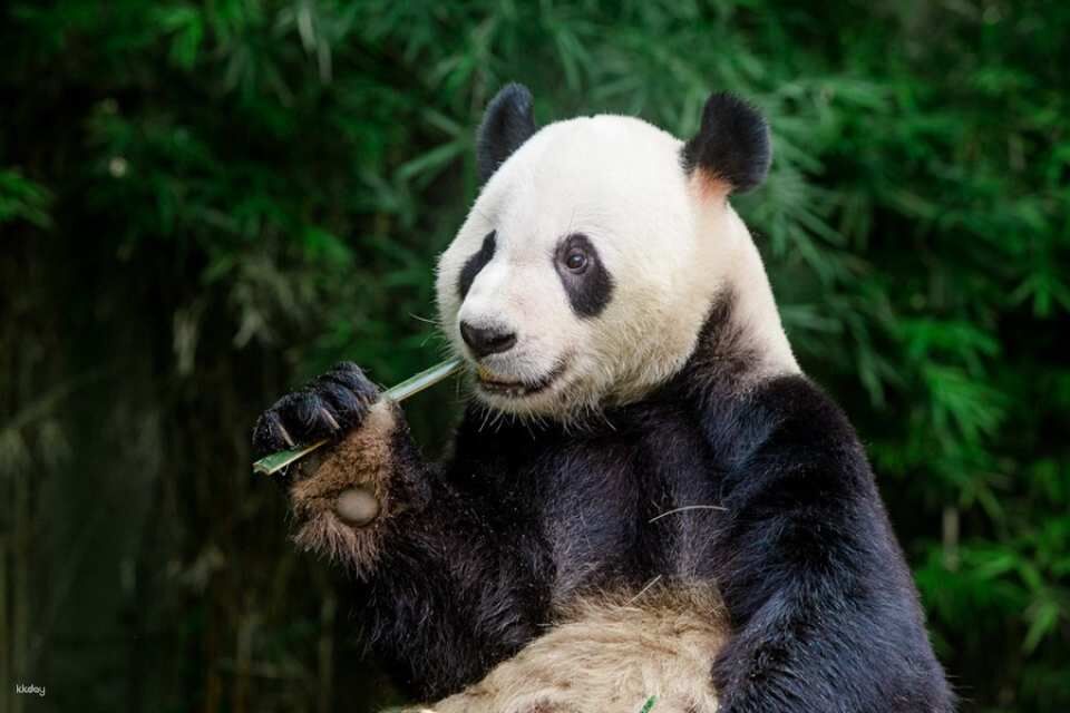 투어·티켓 상품 상세 이미지 3