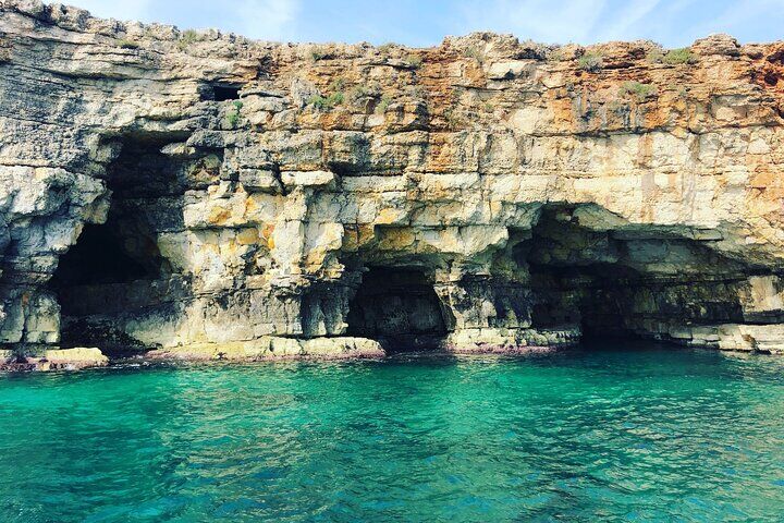 Polignano a Mare 보트 투어 감정, 동굴, 다이빙 및 전채 요리-i