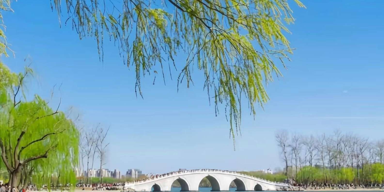 유위안탄 공원 벚꽃 시즌 입장권 (패스트트랙) 상세 이미지 1