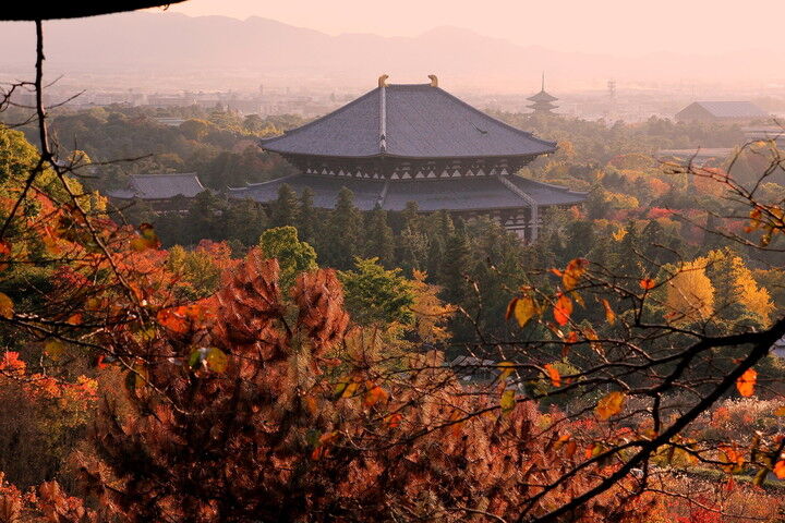 부산★출발확정★[전박시내호텔][유니버셜 스튜디오OR교토관광][#1일자유X도톤보리]▶오사카 4일-i