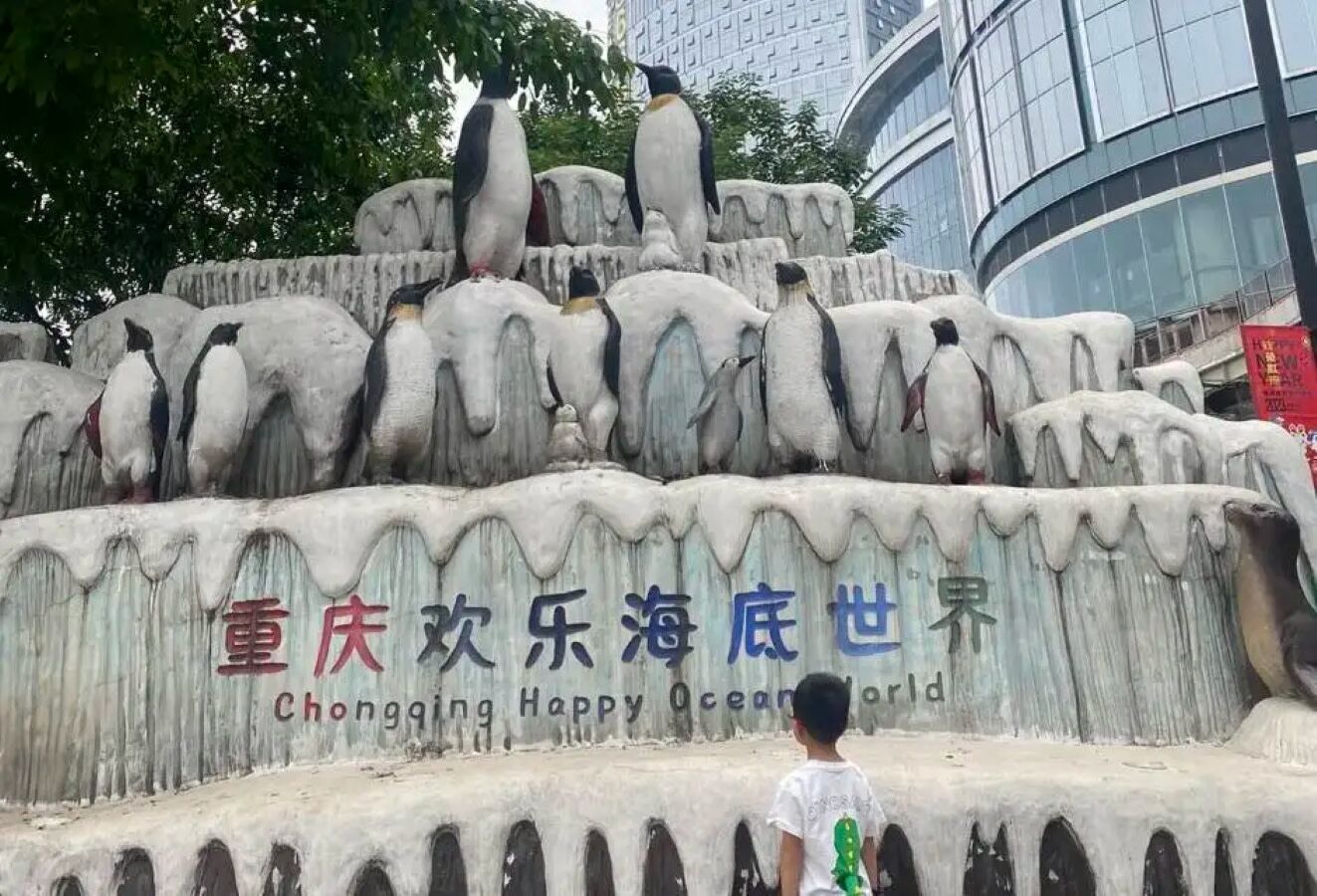 [중경] 환러 해저 세계 입장권