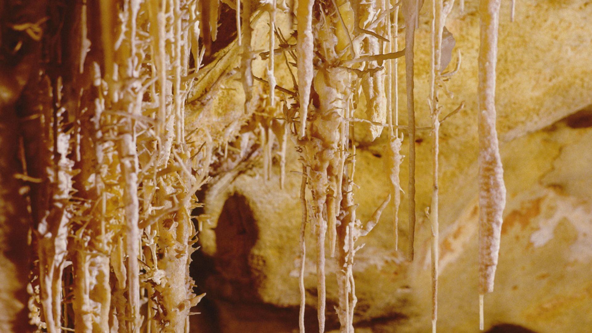 투어·티켓 상품
