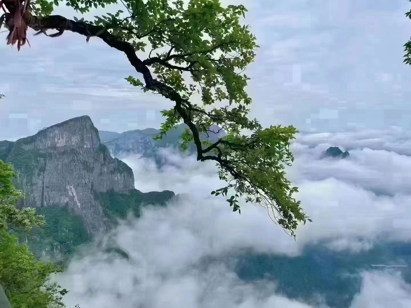 [장자제] 국가삼림공원 입장권 + 케이블카 3회 + 엘리베이터 1회 상세 이미지 1