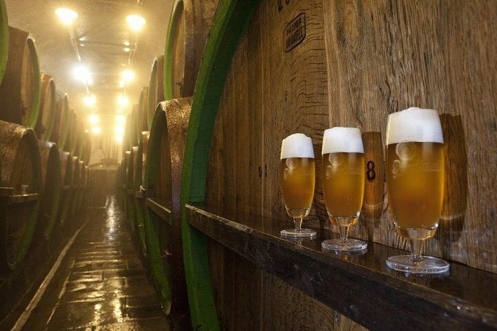 Pilsen은 점심 도시 및 맥주 시음을 포함한 소그룹 투어 및 Pilsner Brewery 투어 하이라이트-i