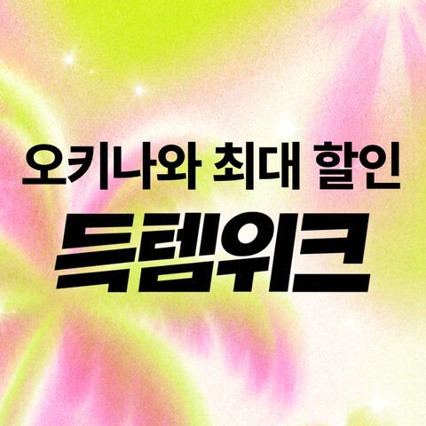 여름 초특가