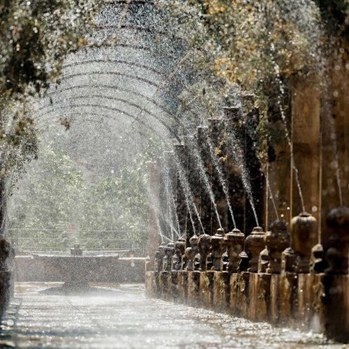 Jardines de Alfabia: 우선 입장권