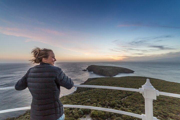 All Inclusive Bruny Island Day Tour 플러스 가이드 라이트하우스 투어-i