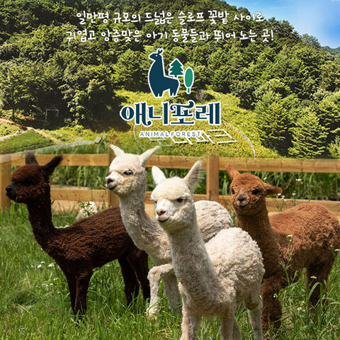강원도 티켓·입장권 - 모나용평 애니포레 하계시즌 입장권