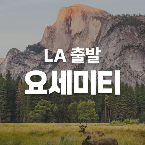 요세미티 투어