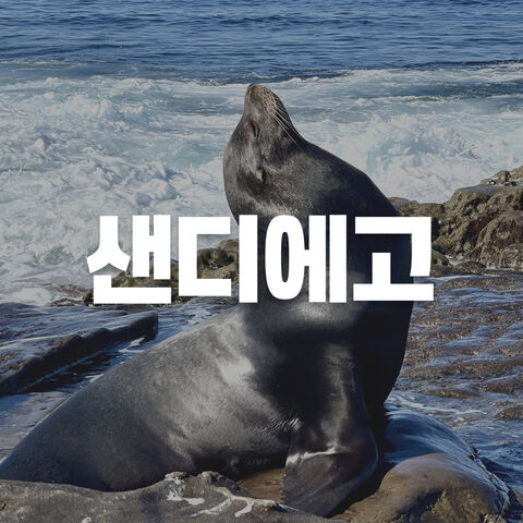 샌디에고
