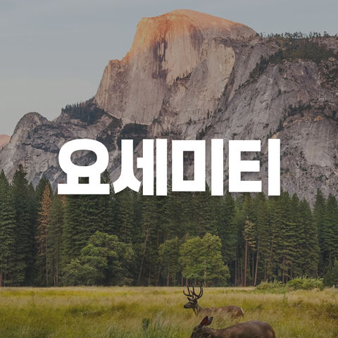 요세미티 투어