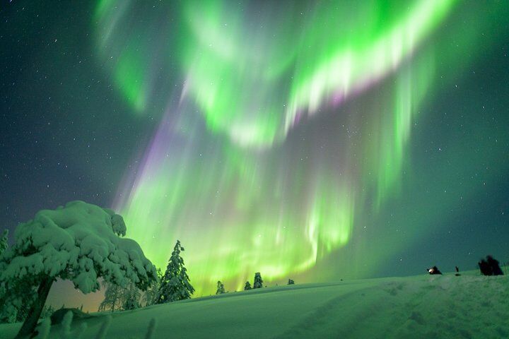 Auroras Northern Lights 시청 및 사진 - Saariselkä