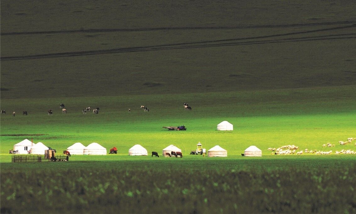 [유류고정][부산][노/노/노][내몽고/호화호특 직항] 시라무런초원/샹사완사막/춘쿤산/마상쇼/궁전게르 4일