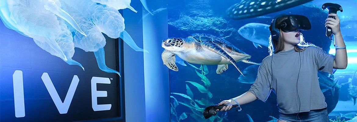 [두바이] 두바이 아쿠아리움 + 수중 동물원 입장권 (두바이 몰)