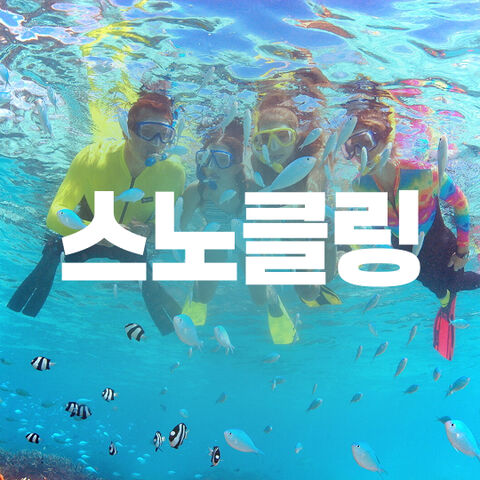 스노클링