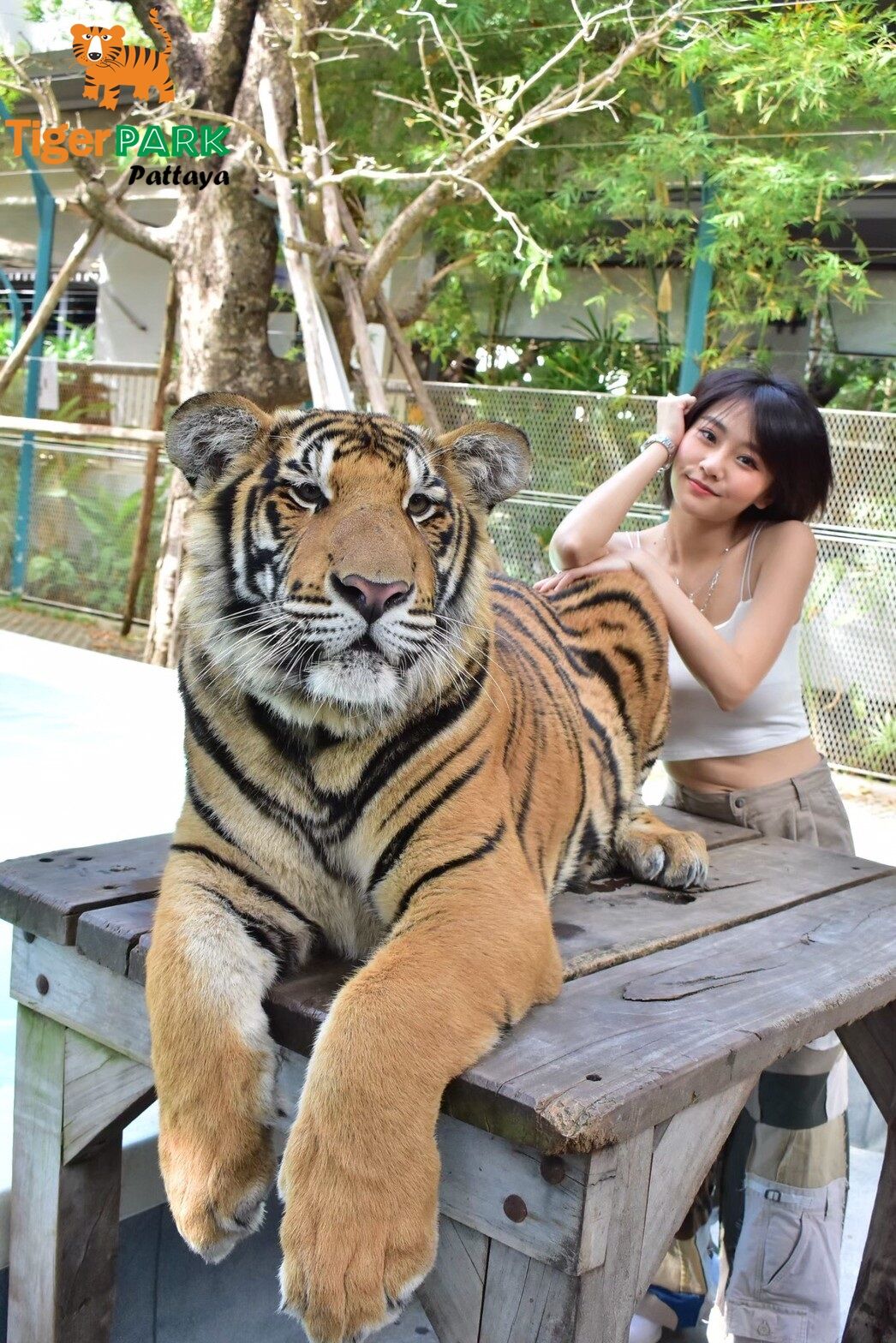 투어·티켓 상품 상세 이미지 4