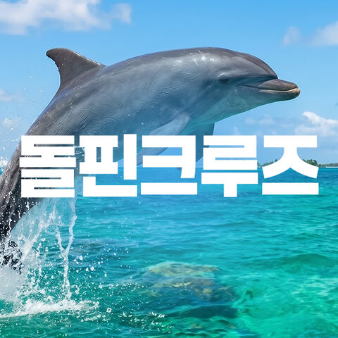 돌핀크루즈