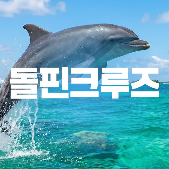 돌핀크루즈-i