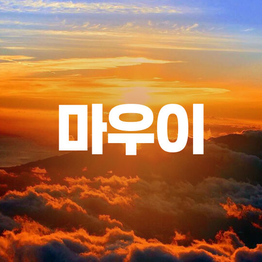 마우이섬