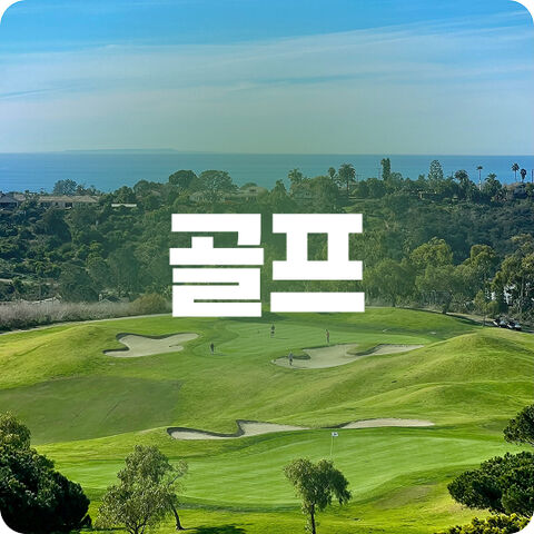 인기 골프!