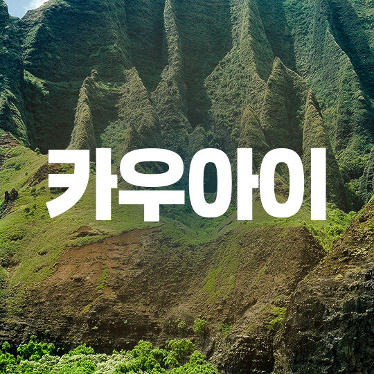 카우아이
