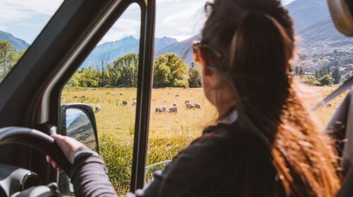 투어·티켓 상품 상세 이미지 3