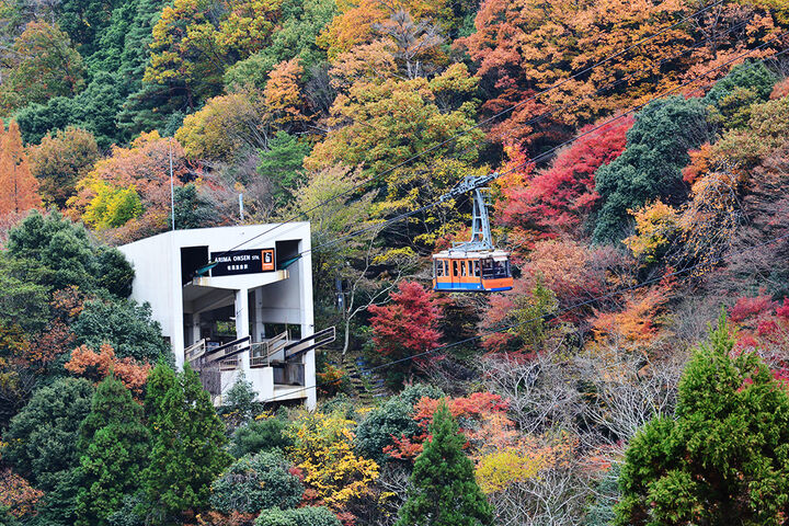  ★단 1회, 가을단풍 기간한정★ [OZ품격] [가을 빛으로 곱게 물든 산자락을 따라]이세/나라 4일 ▶호텔닛코&머큐어 숙박+이세명물 '아카후쿠' 특전