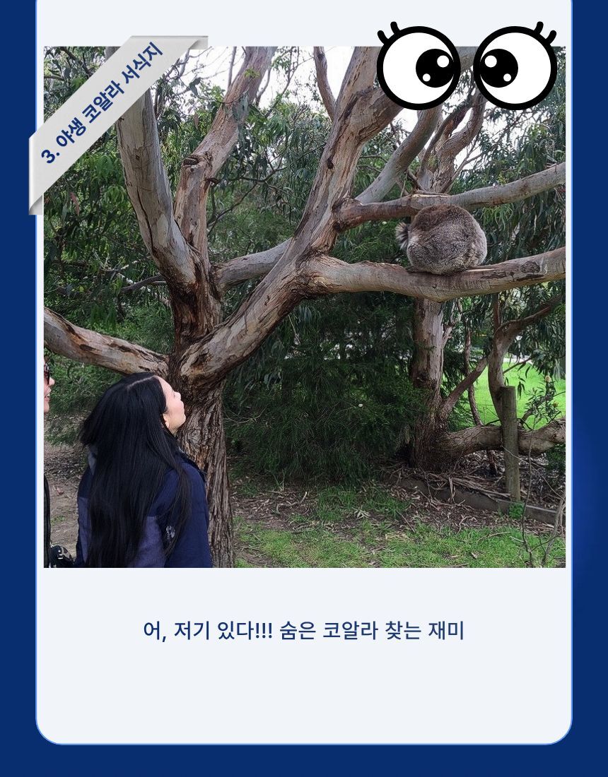[명품 투어] 오직 16분께만 허락된 특별한 그레이트 오션 로드(12사도+그로또) 상세 이미지 8