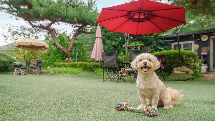 포천 아름드리 스파 펜션